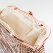 Lady elegant shining handbag